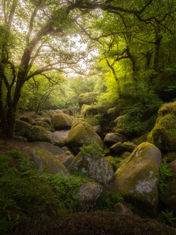 Forest of Huelgoat in Brittany at sunrise. Huelgoat, France.