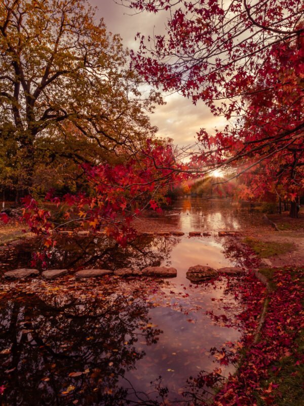 L'automne au Vésinet, Lac Inférieur, France