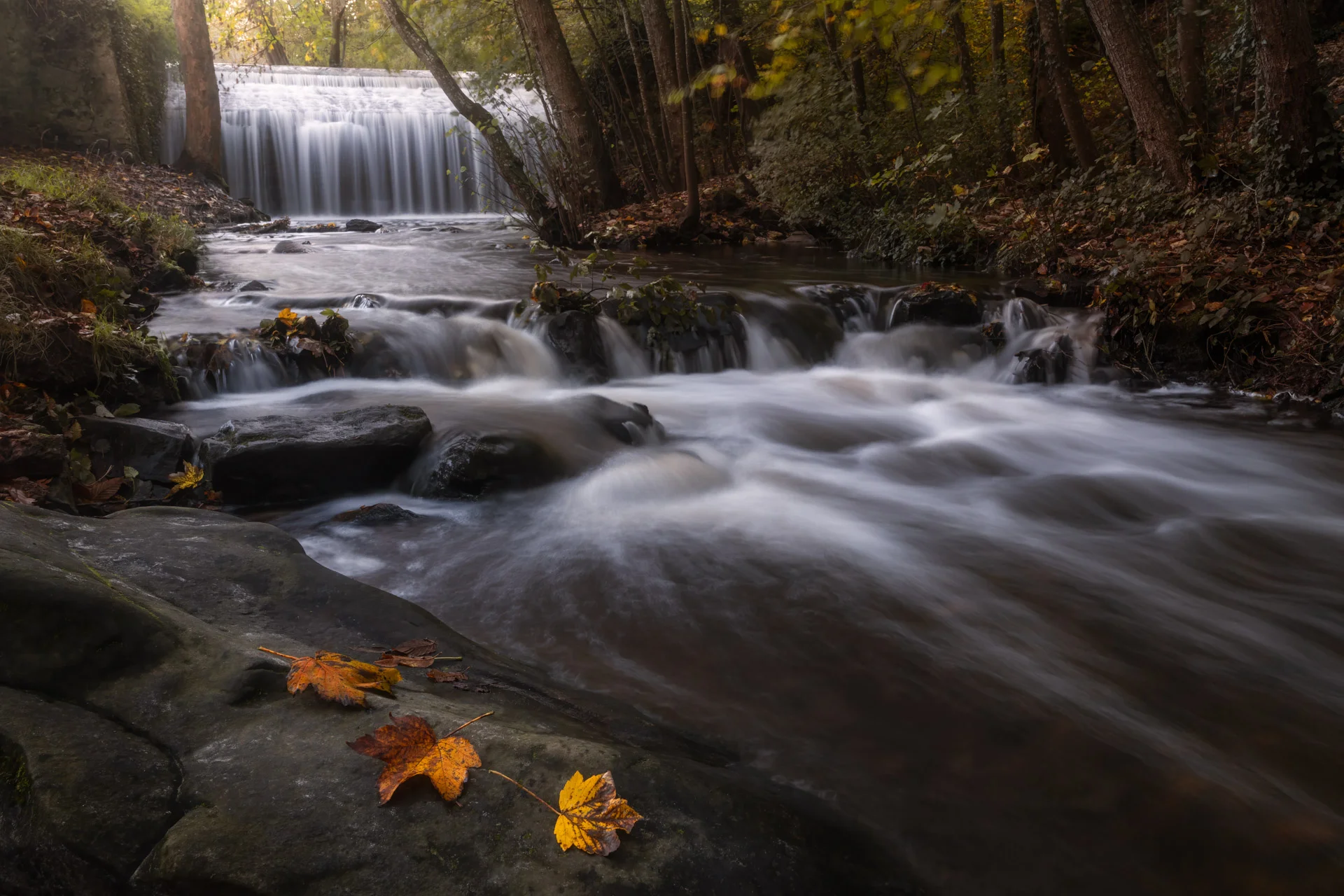 Waterfall of Vaux de Cernay in autumn, with leaves at the foreground