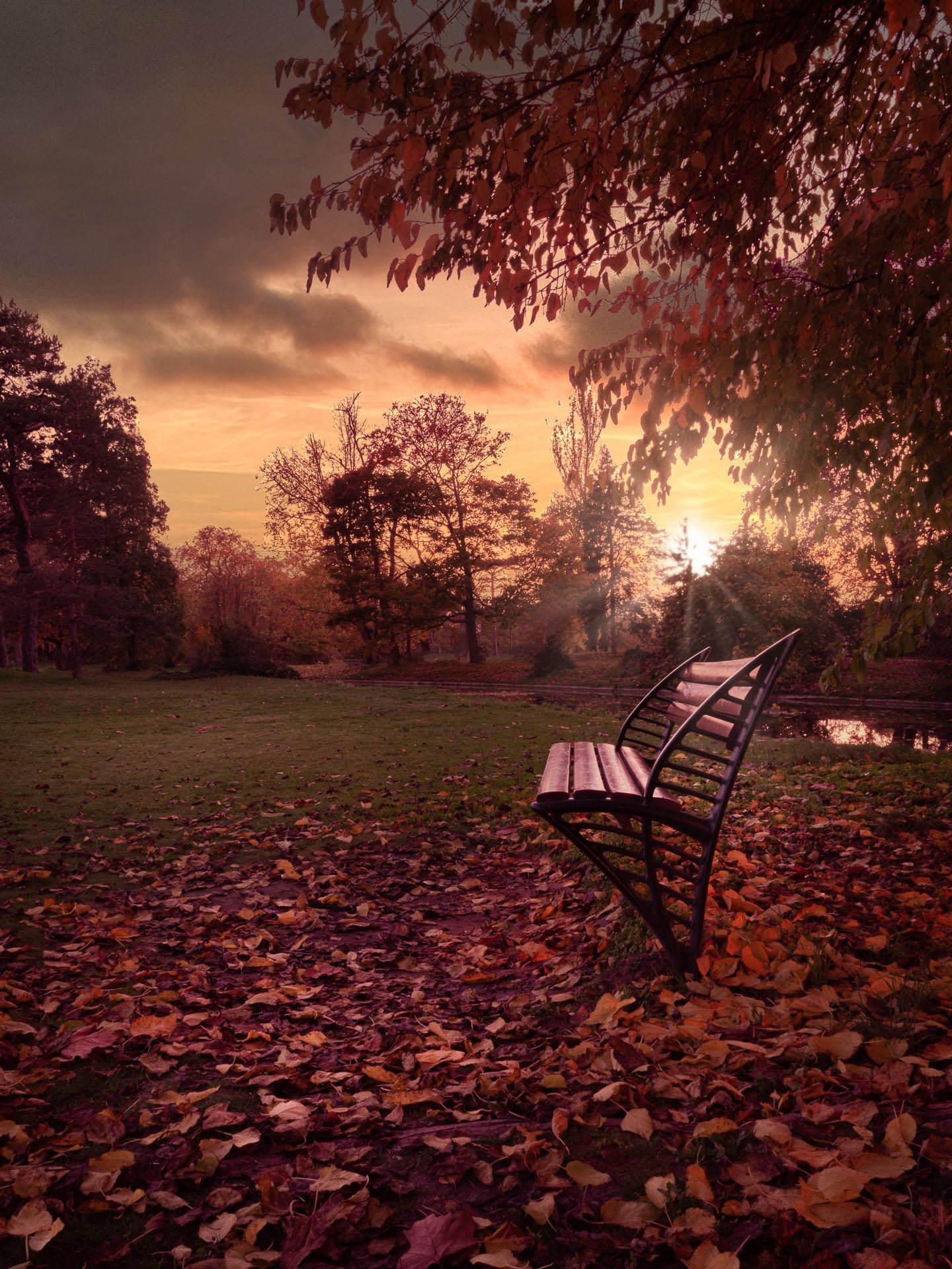 Autumn sunset near the bench in Le Vesinet