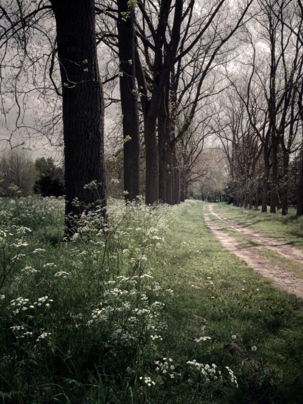 Arboreto de Versalles-Chèvreloup, Francia