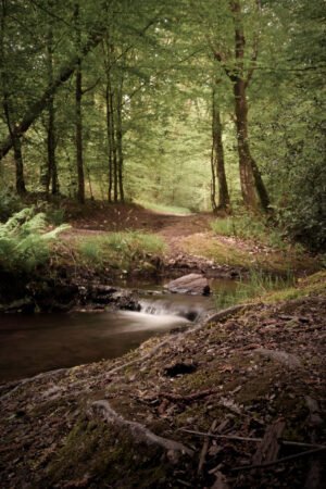 Cascade dans la forêt de Brocéliande, France