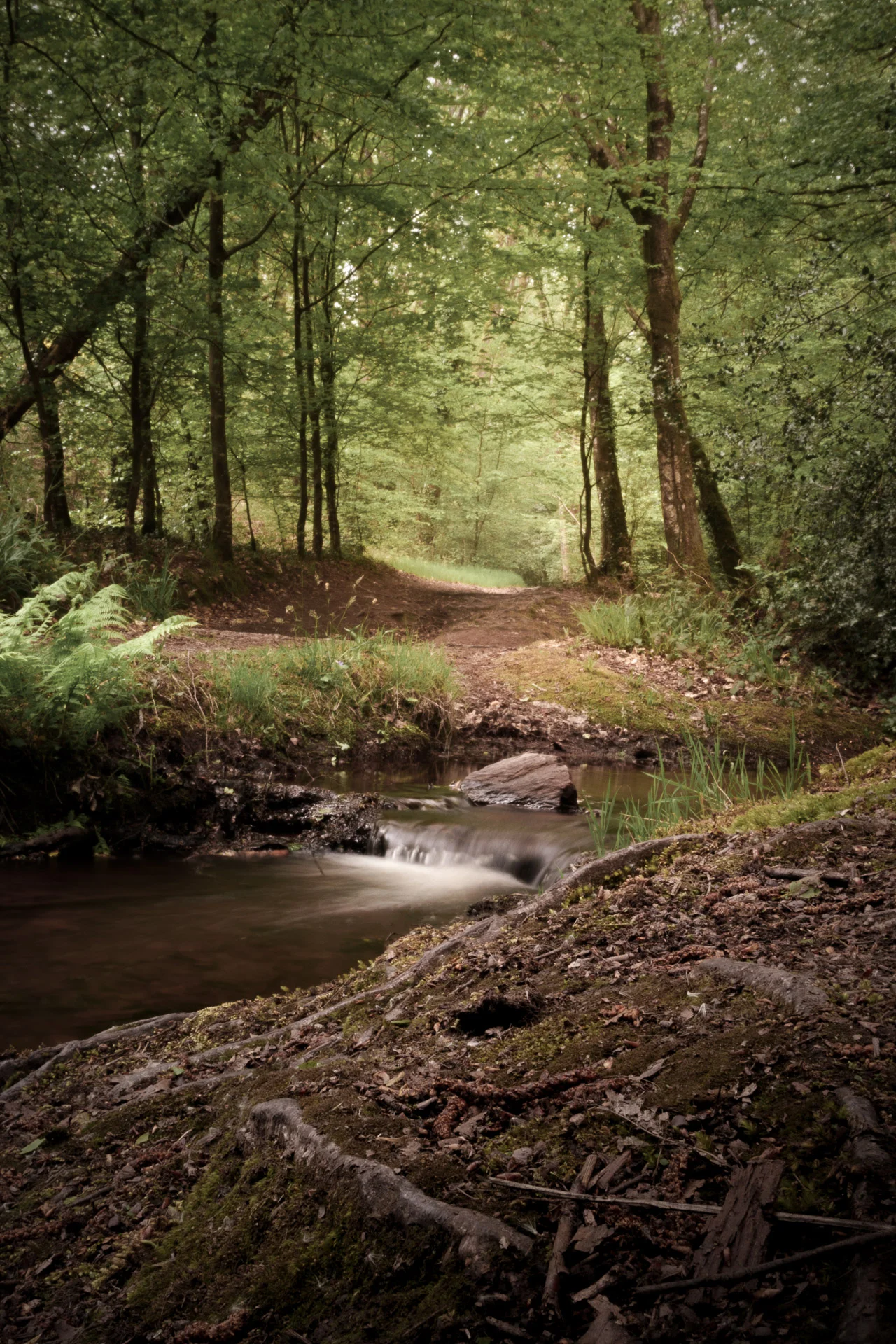 Waterfall in the Brocéliande forest