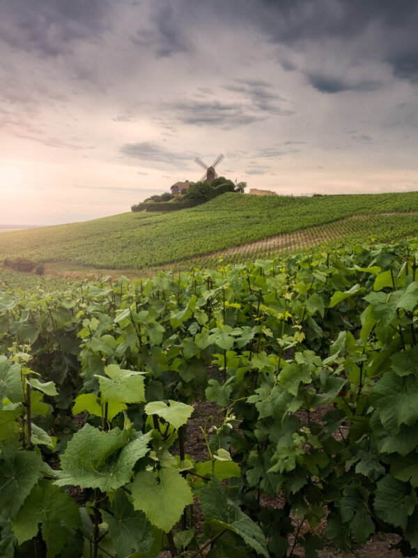 Mill of the famous Champagne Mumm brand