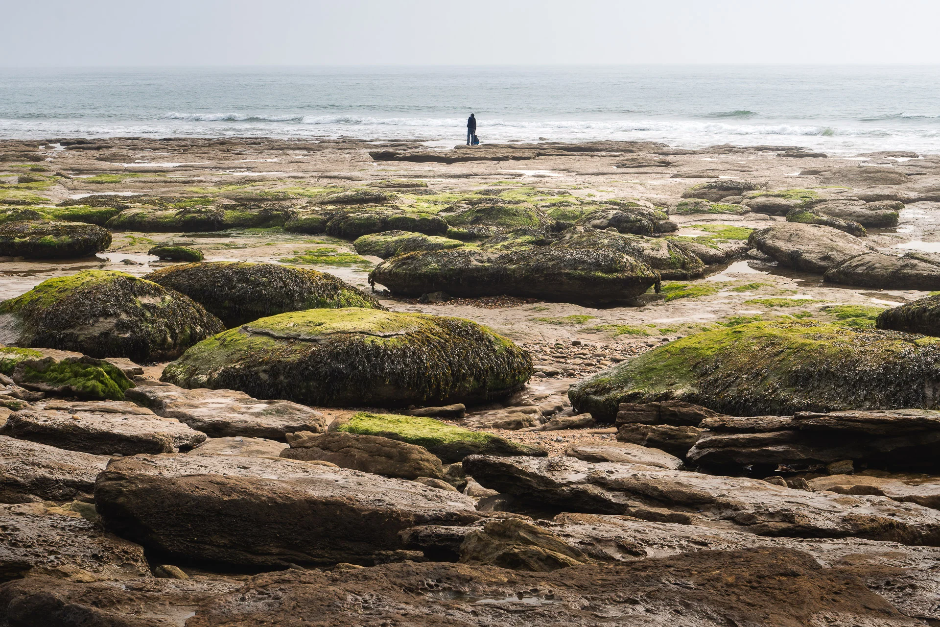 Silhouette in the front of the sea at Audresselles, France