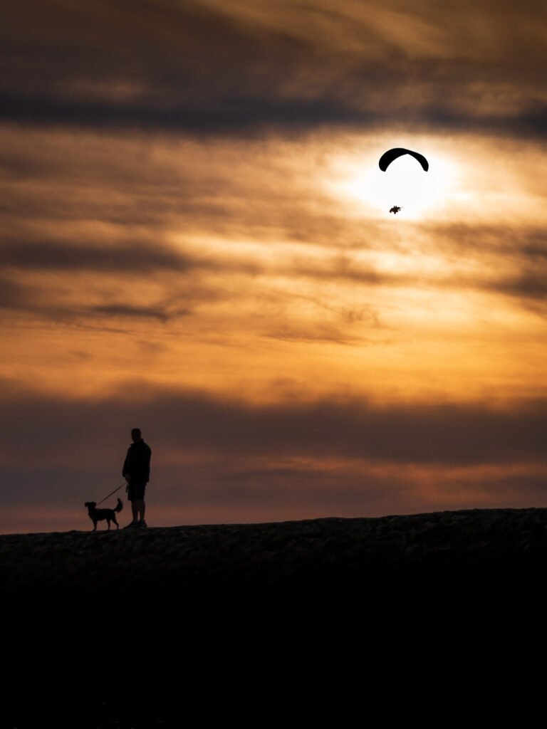 Light glider and the dog walk in Berck sur Mer, France